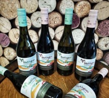 dalšie vinárstvo z ponuky BIO vín