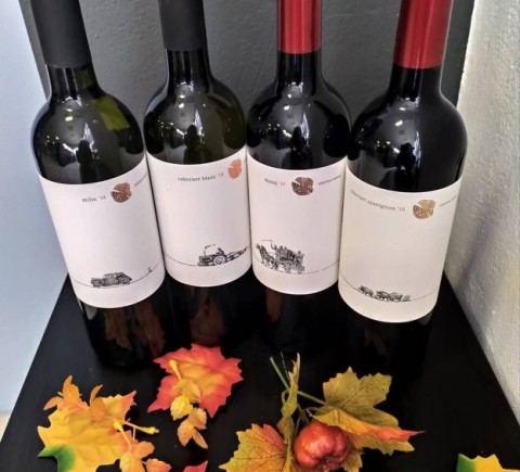 NOVÉ FĽAŠKOVÉ VÍNA